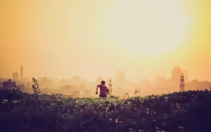 প্রদর্শনের নমুনা ছবি