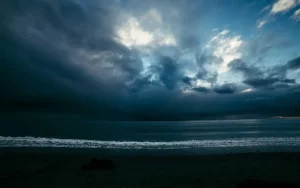 প্রদর্শনের নমুনা ছবি